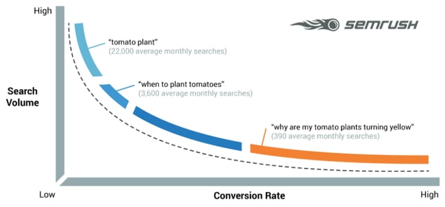 Long store tail seo